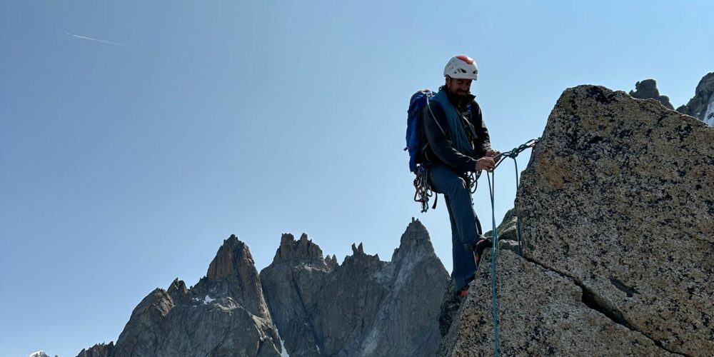 aiguille du peigne